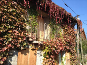 Flânerie à Montabon et balade insouciante - Montabon de la Terrasse - 3