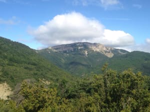 Ascension du Cougoir et terre de senteurs - Teyssières - 4