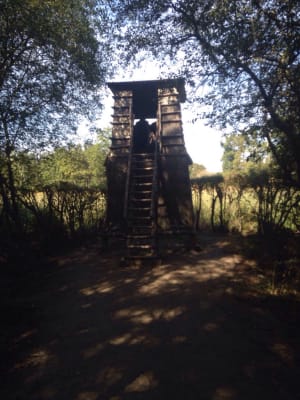 Découverte de la biodiversité au Parc du château de Chambord - Chambord - 4