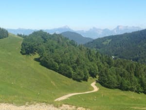 Ascension du Grand Serre et panoramas grandioses - Vizille - 3