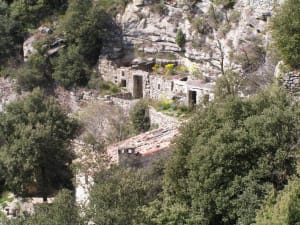 Boucle du plateau du Barry et richesses du passé - Saint-Paul-Trois-Châteaux - 4