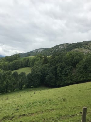 Tour de Machiret et nature luxuriante - Villard de Lans - 3