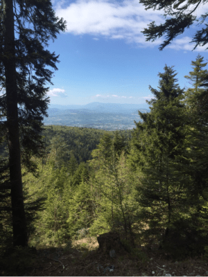 Balade en Forêt du Semnoz - Sévrier - 3