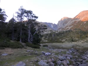 Pic du Canigou et expérience inoubliable dans les Pyrénées - Valmanya - 4