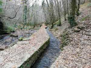 Puy de Pauliac en spirituele parenthese - Aubazine - 3