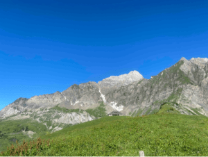 Croix de Stata et flore d'exception aux Aravis - La Giettaz, Annecy - 3