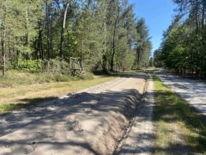 Petite Sauldre et écouter la nature paisible - Ménétréol-sur-Sauldre - 3