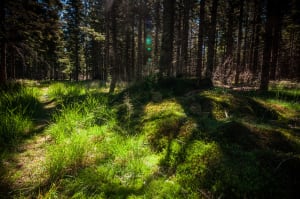 Schitterende tocht door de Puy de Sancy en magisch bivak - Chastreix - 4