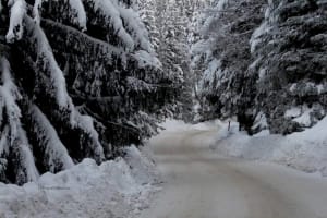 La Féclaz naar het chalet van de Sire - Les Deserts - 4