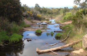 Lake Escarcets en reis door de savanne - Vidauban - 3