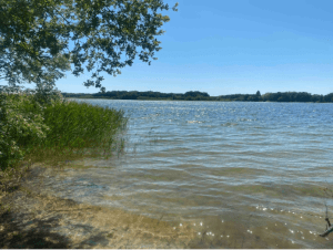 Etangs de Sologne et chemin de la mémoire - Argent-sur-Sauldre - 3