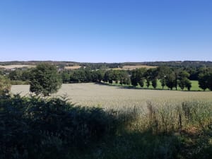 Brocéliande en zijn legendarische bos - Paimpont - 3
