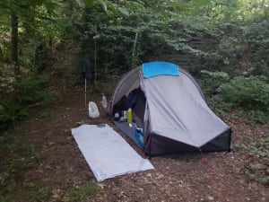 Brocéliande en zijn legendarische bos - Paimpont - 4