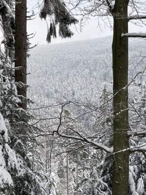 Cascade et château du Nideck et col du Schneeberg - Oberhaslach - 3