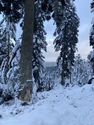 Cascade et château du Nideck et col du Schneeberg - Oberhaslach - 4