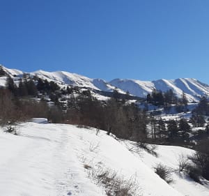 De Puys de la Salle en hun onbelemmerde uitzichten - La Salle-les-Alpes - 5