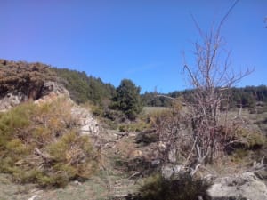 Oude paden van Caudiès en paddenstoelen plukken - Caudiès-de-Conflent - 3