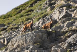 Val-d'Isère et le col de la Lose à 2950 mètres d'altitude - Val-d'Isère - 5