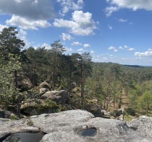 Bestorming van de Franchard Gorges en vreemde rotsen - Fontainebleau - 3