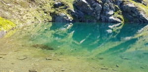 Auzat et trésors aquatiques des Pyrénées Ariégeoises - Etang de Soulcem, Auzat - 4