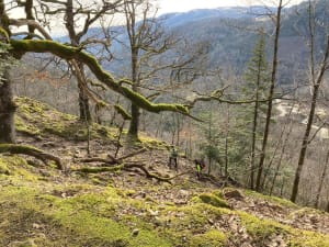 Superbe lac d'Alfeld et son panorama sur les Vosges - Sewen - 4