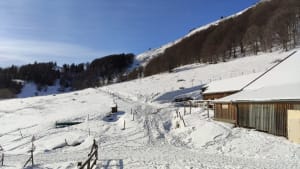 Wasserbourg en prachtige natuur - Wasserbourg - 3