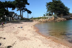 Bréhat, île aux fleurs et paradis micro-méridional - île-Bréhat - 3