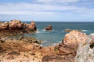 Bréhat, île aux fleurs et paradis micro-méridional - île-Bréhat - 5