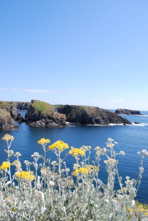 Aiguilles de Port-Coton et impressionnisme échevelé - Bangor - 3