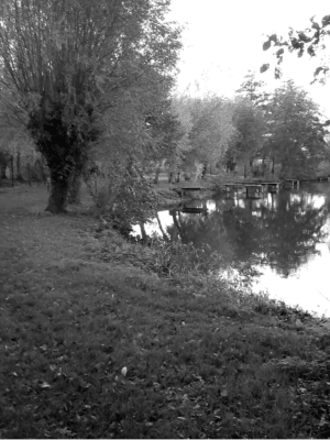 Balade urbaine à Flines-lez-Raches - Flines-lez-Raches - 5