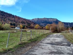 Wandeling rond de Gexvallei en verkwikkend bosbad - Gex - 3