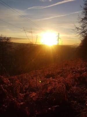Nouzonville et le bois de la Havetière pour trouver le calme - Nouzonville - 3