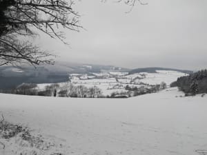 Découvrir Vernay et son apaisante campagne beaujolaise - Vernay - 2