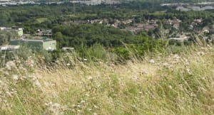 Charmes de la campagne de Maurepas et douce virée en forêt - Maurepas - 3