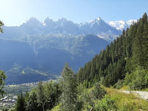 Chamonix en zijn prachtige klim naar Planpraz - Chamonix-Mont-Blanc - 3