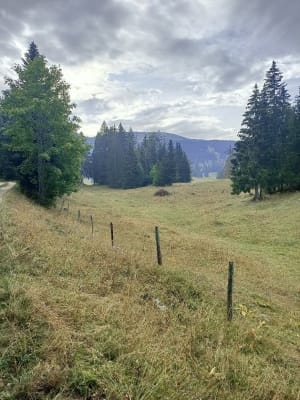 Les Rousses et traversée de la frontière Franco-Suisse - Les Rousses - 4