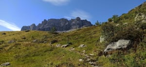 Servoz et expédition grandiose dans les réserves naturelles - Servoz - 4