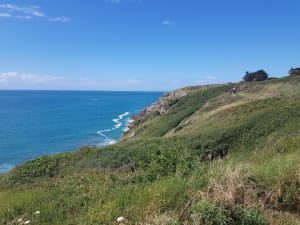 Verkwikkende excursie en sublieme uitzichten bij Meinga Point - Saint-Coulomb - 4