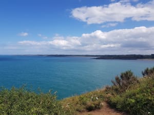Verkwikkende excursie en sublieme uitzichten bij Meinga Point - Saint-Coulomb - 5