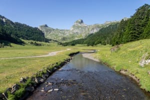 Vallée d’Ossau et son tour enchanteur des lacs d’Ayous - Gabas - 3