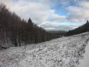 Été ou hiver, le col de la Charbonnière à Hohwald - Le Hohwald - 3