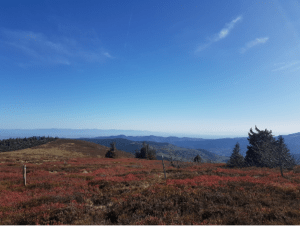 Wandelen langs de 4 meren en natuurwonderen van de Vogezen - Lac Blanc, Orbey - 3