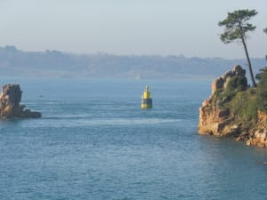 Ontdek de magie van het eiland Bréhat en zijn bloemencharme - Ile de Bréhat - 4