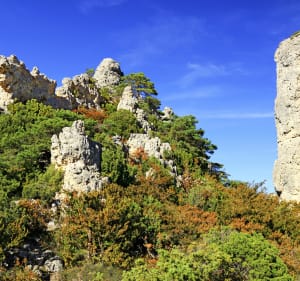 A l'assaut des grands Causses à vélo, depuis Millau - Millau - 3