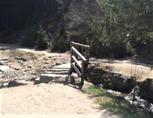 Villard-de Lans, Pont de l'Amour et marche nordique - Villard-de-Lans - 3