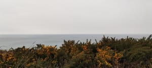 Sassetot-le-Mauconduit et sa balade sur les pas de Sissi - Saint-Pierre-en-Port - 3