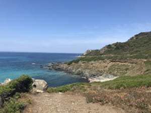 Wilde uitstap van Parata naar het strand van Saint-Antoine - Ajaccio - 3