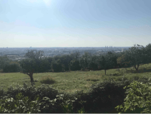 Mise au vert dans les parcs de Cenon et GR® métropolitain - Cenon - 3
