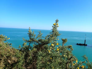 Cancale et sa magnifique pointe du Grouin - Cancale - 5