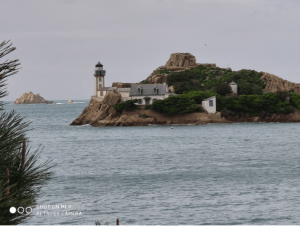 Pointe de Carantec et impressions tropicales - Carantec - 4